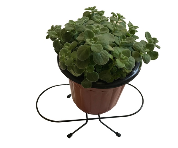 Flower Pot Holder  HHAIR02