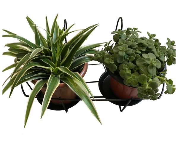 Flower Pot Holder  HHAIR03