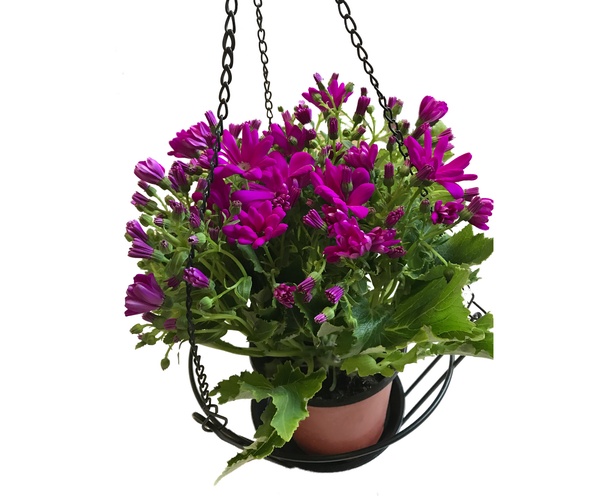 Flower Pot Holder HHAIR13