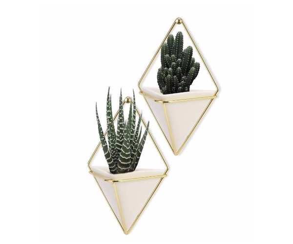 Air Plant Holder HHAP02